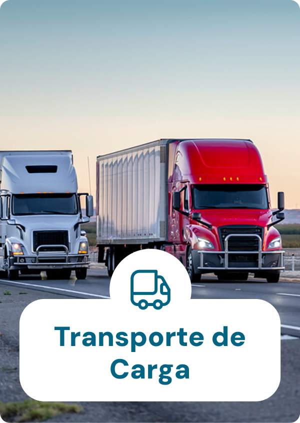 Transporte de Carga Pesada